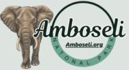 Amboseli-NP-Official-Logo-5.png
